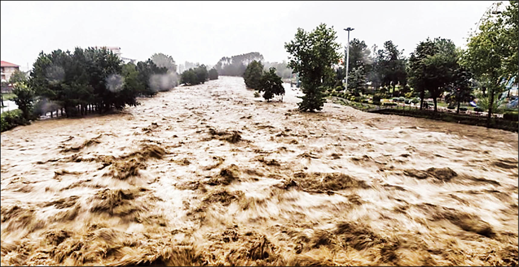 هجوم گونه‌های مهاجم به رودخانه‌های سیلابی