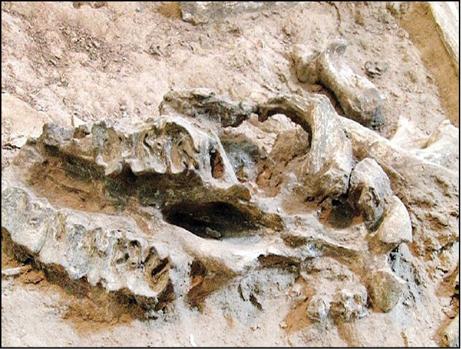 راه‌اندازی ژئوپارک مراغه فرصتی برای توسعه پایدار