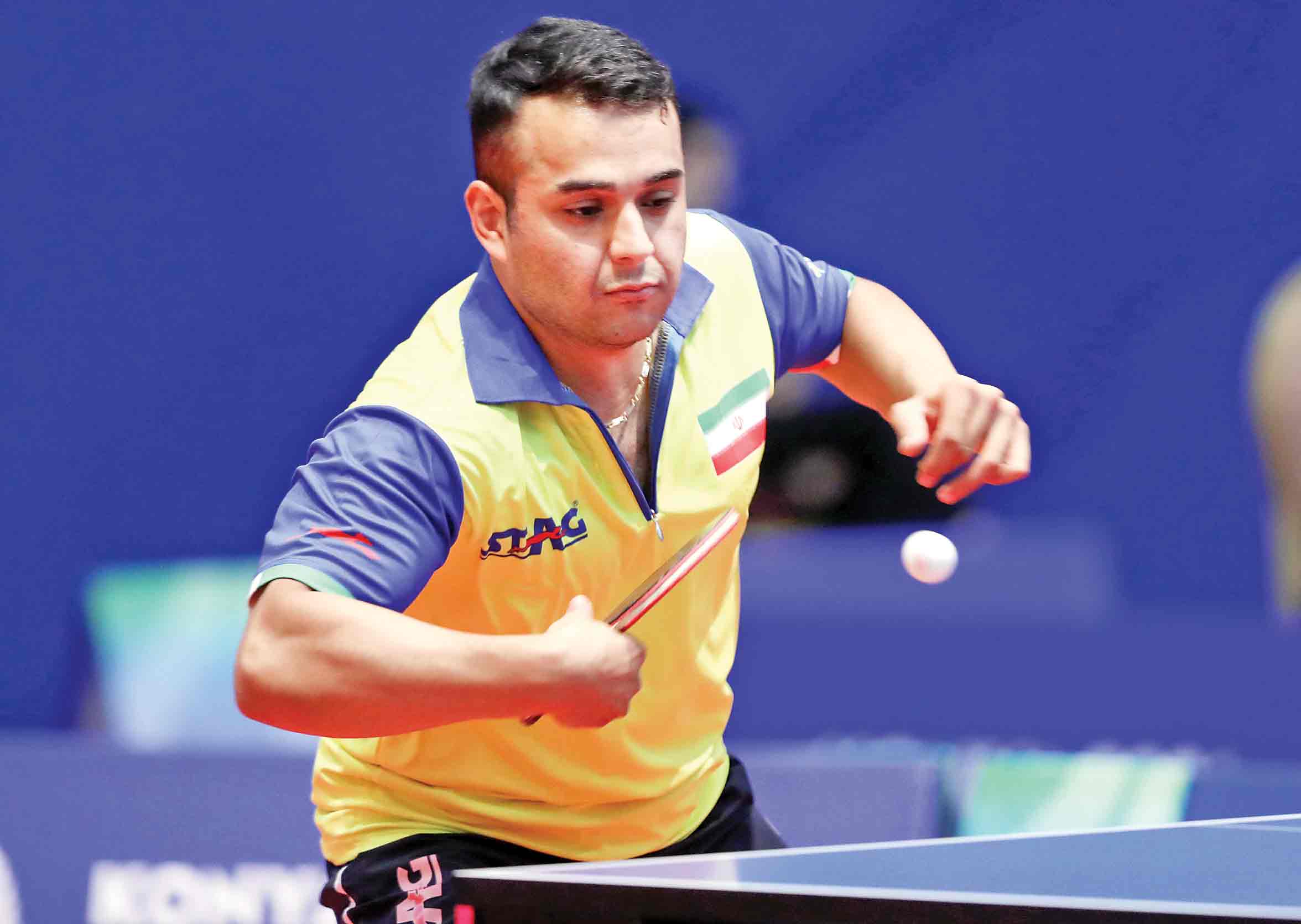 ستاره دیده شد