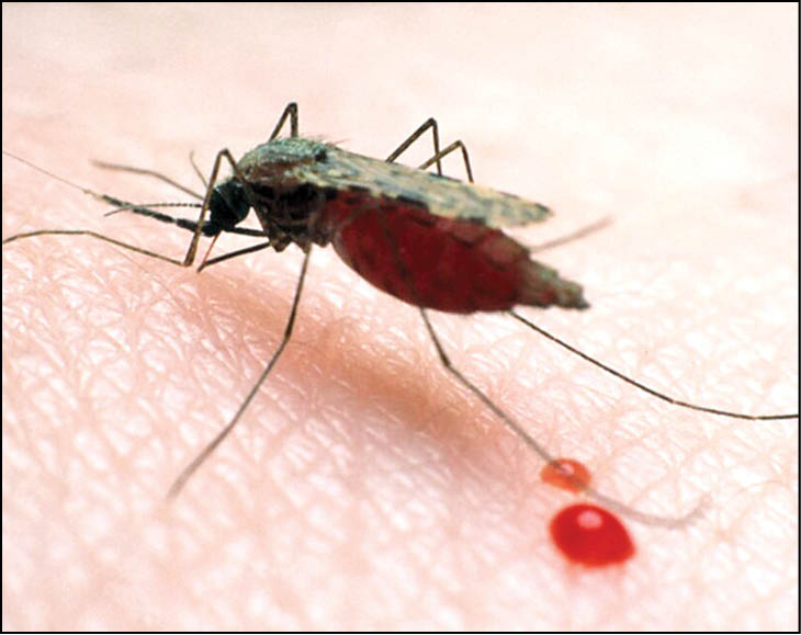 نقش پررنگ بحران اقلیمی در گسترش بیماری‌های عفونی