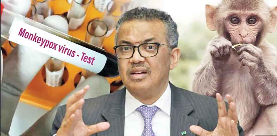 میمون‌ها را نکشید! آبله تغییر نام می‌دهد