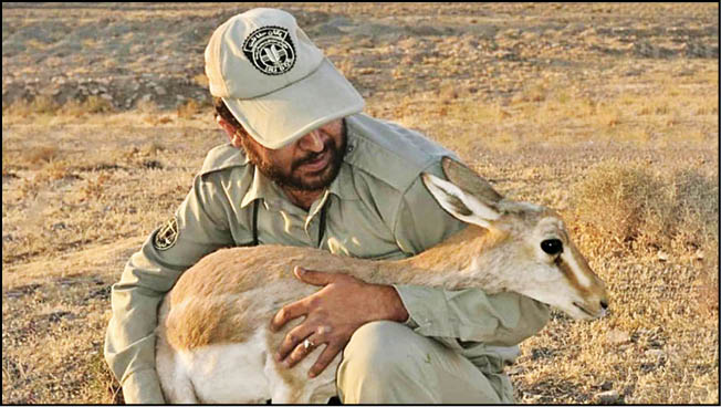 نیاز به خانه‌تکانی در سازمان حفاظت محیط زیست