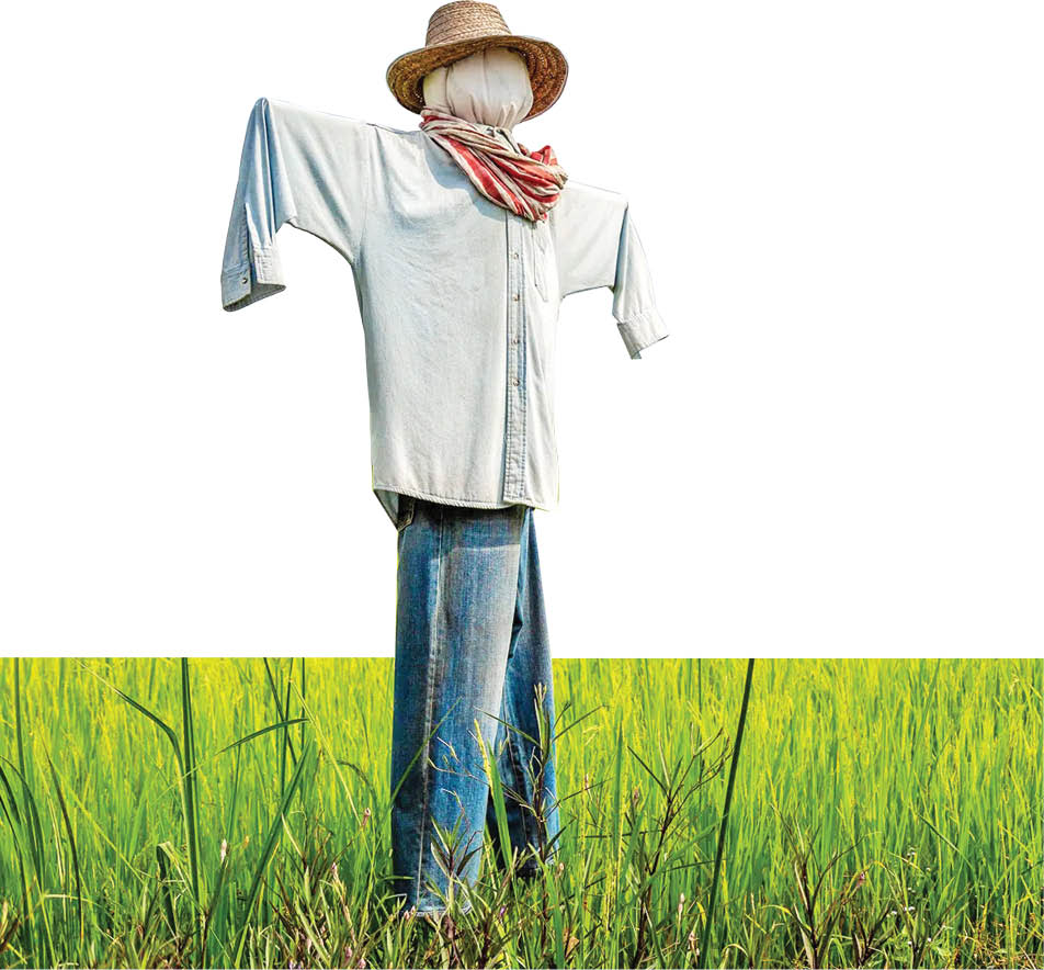 داس‌های بی‌مزرعه