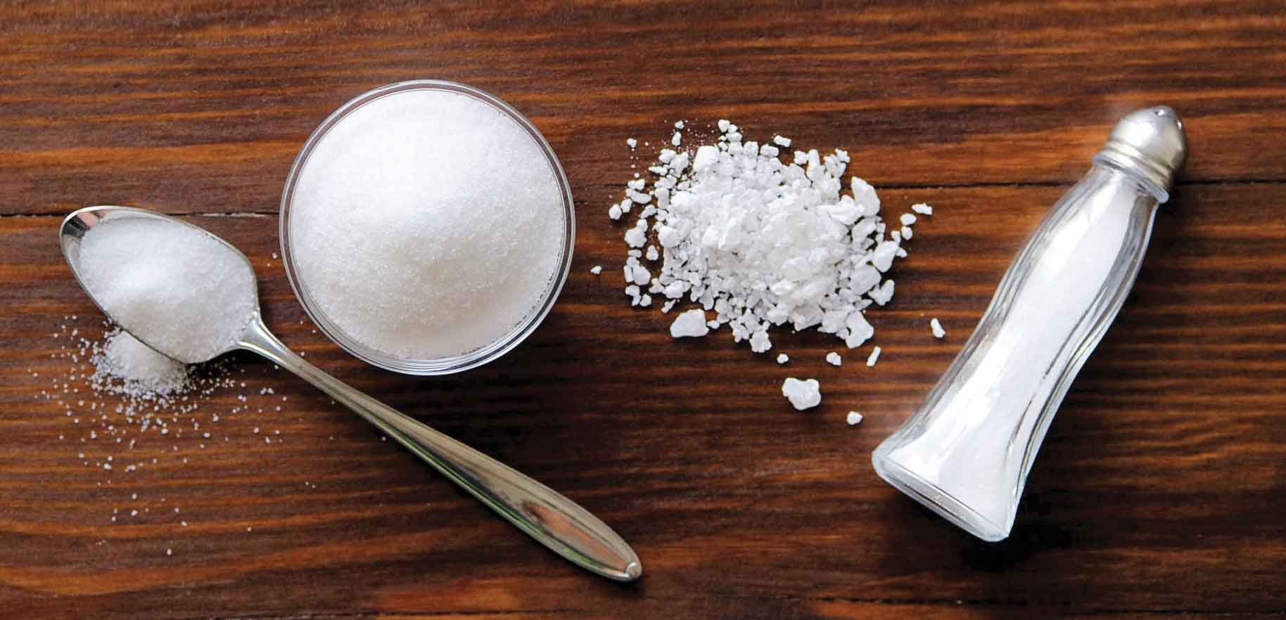 تاریخ به روایت شوری