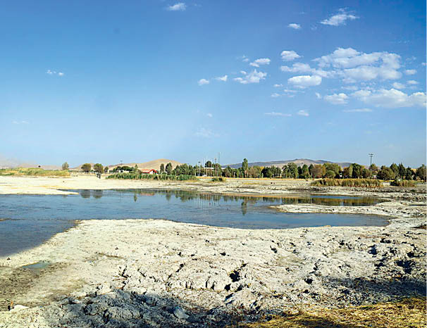 نفس‌های نیلوفر به شماره افتاد