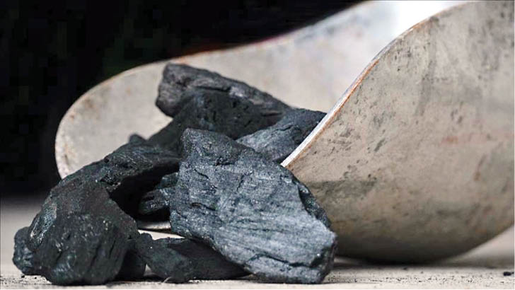زغال سنگ محبوب شد