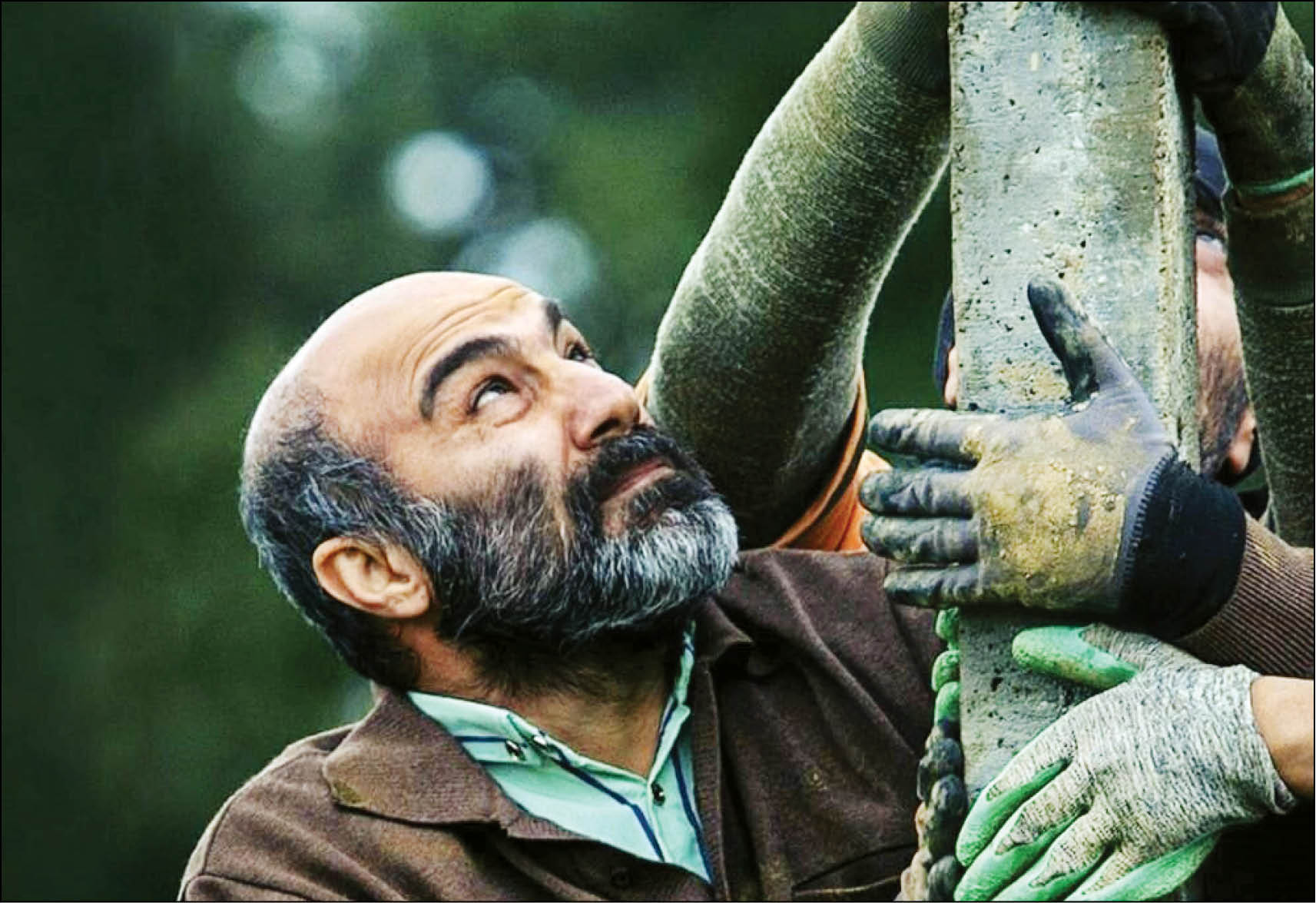 شب، داخلی، اسکار