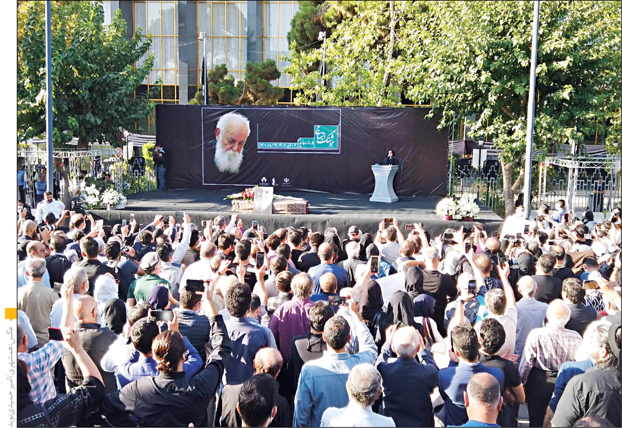 وحدت زیر سایه ارغوان