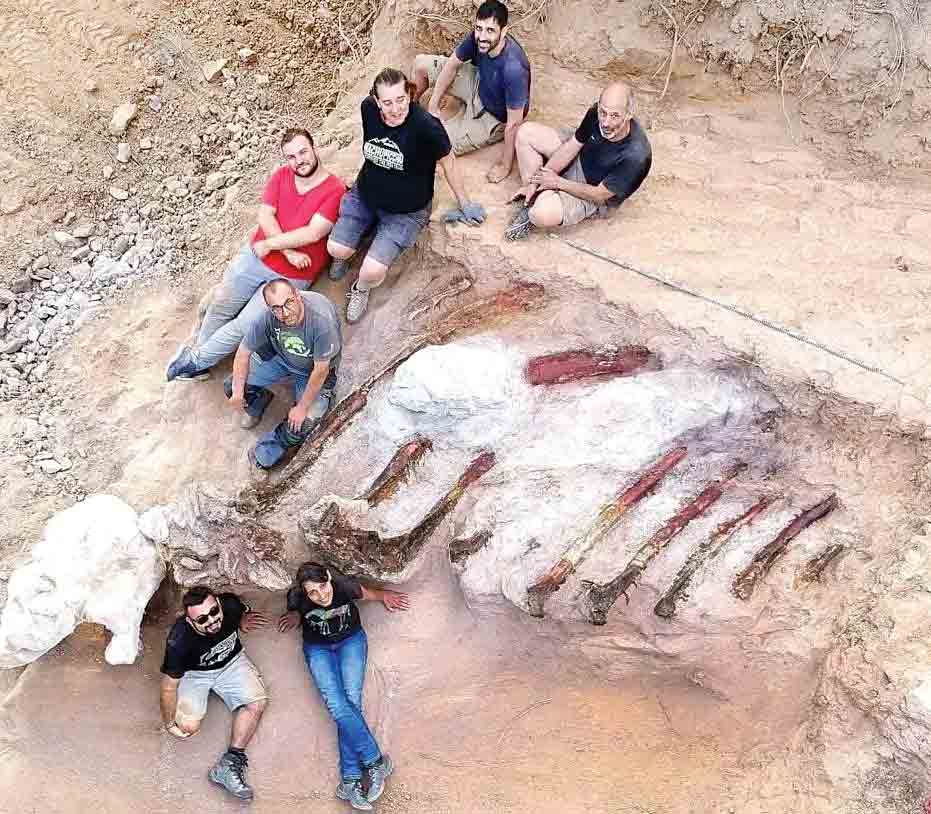 دایناسور 25متری در خانه