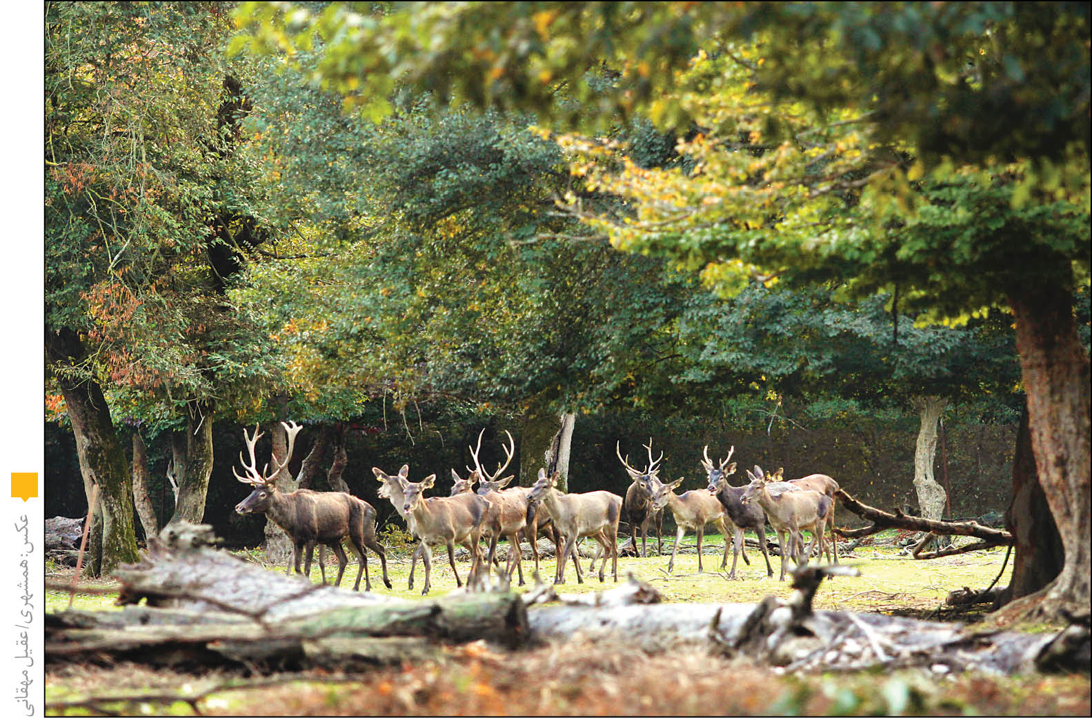 مشارکت مردمی در حفظ زیستگاه‌های طبیعی