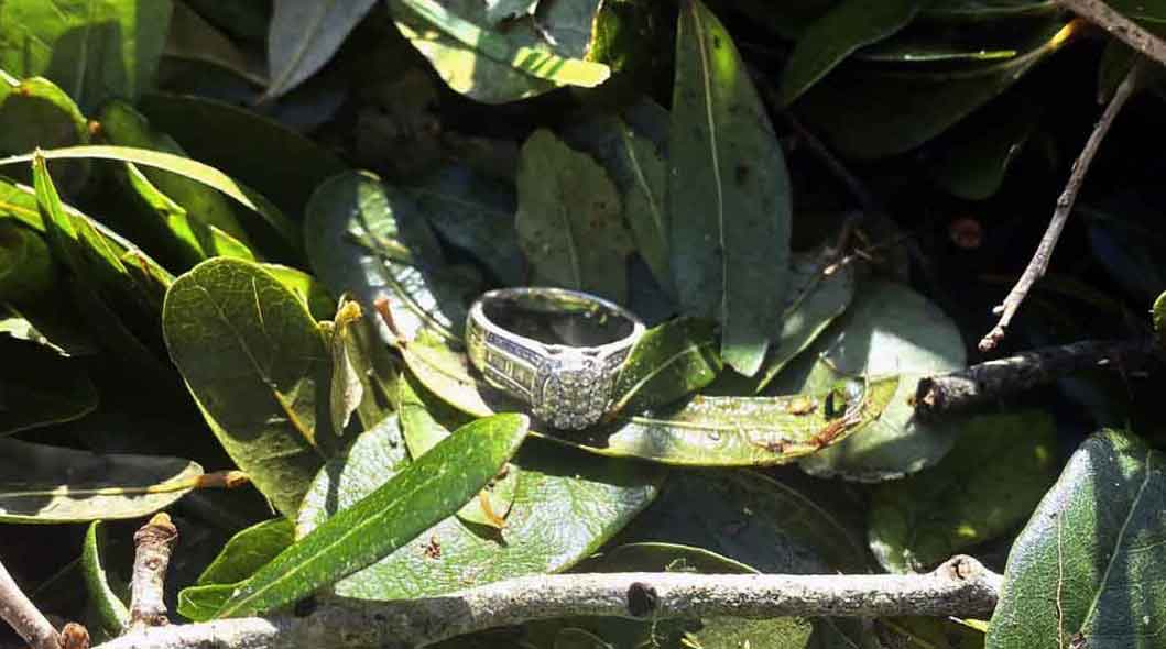 یافتن حلقه در دل توفان