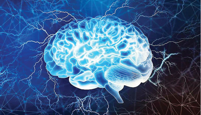 پیوند سلول مغز انسان به موش برای درمان بیماری‌های مغزی