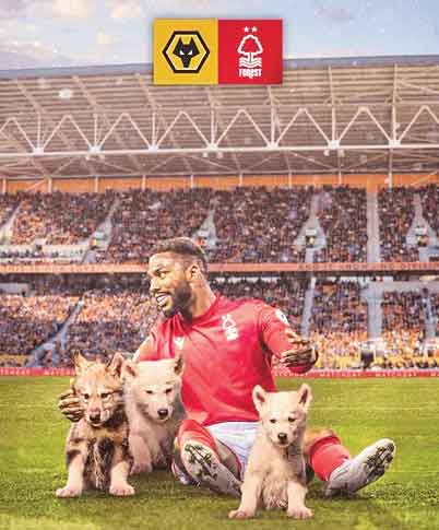 داستان کمدی دو عکسی