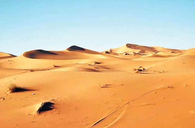 بیابان‌زدایی در 7ساعت