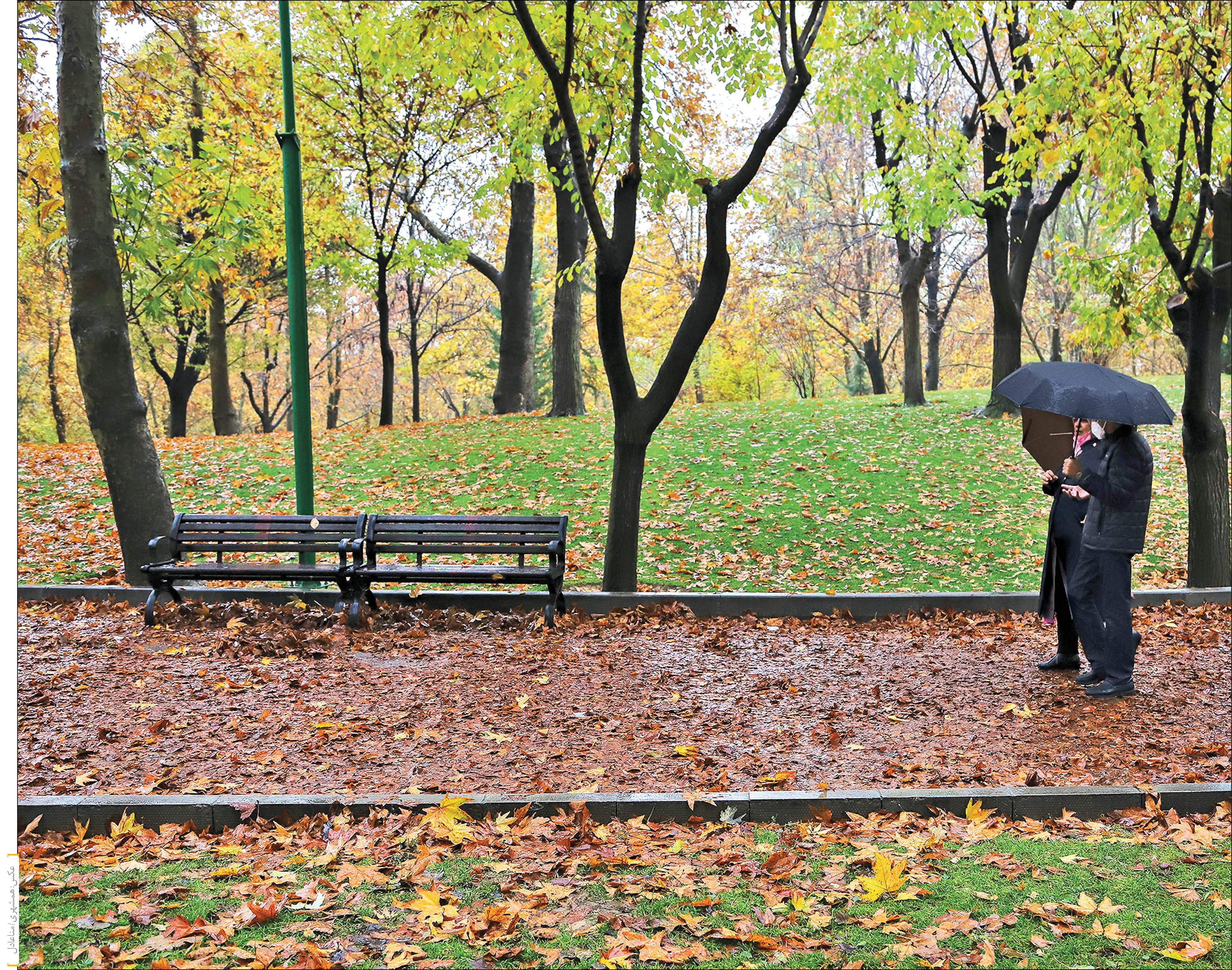 با افزایش 1500هکتاری کمربند سبز، تملک باغات و احداث بوستانهای محلی