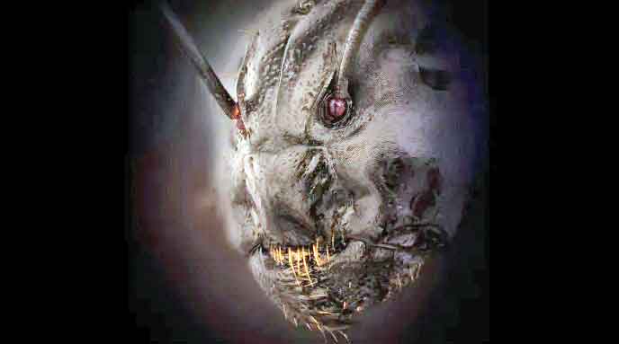 عزیز مادر و فقط مادر