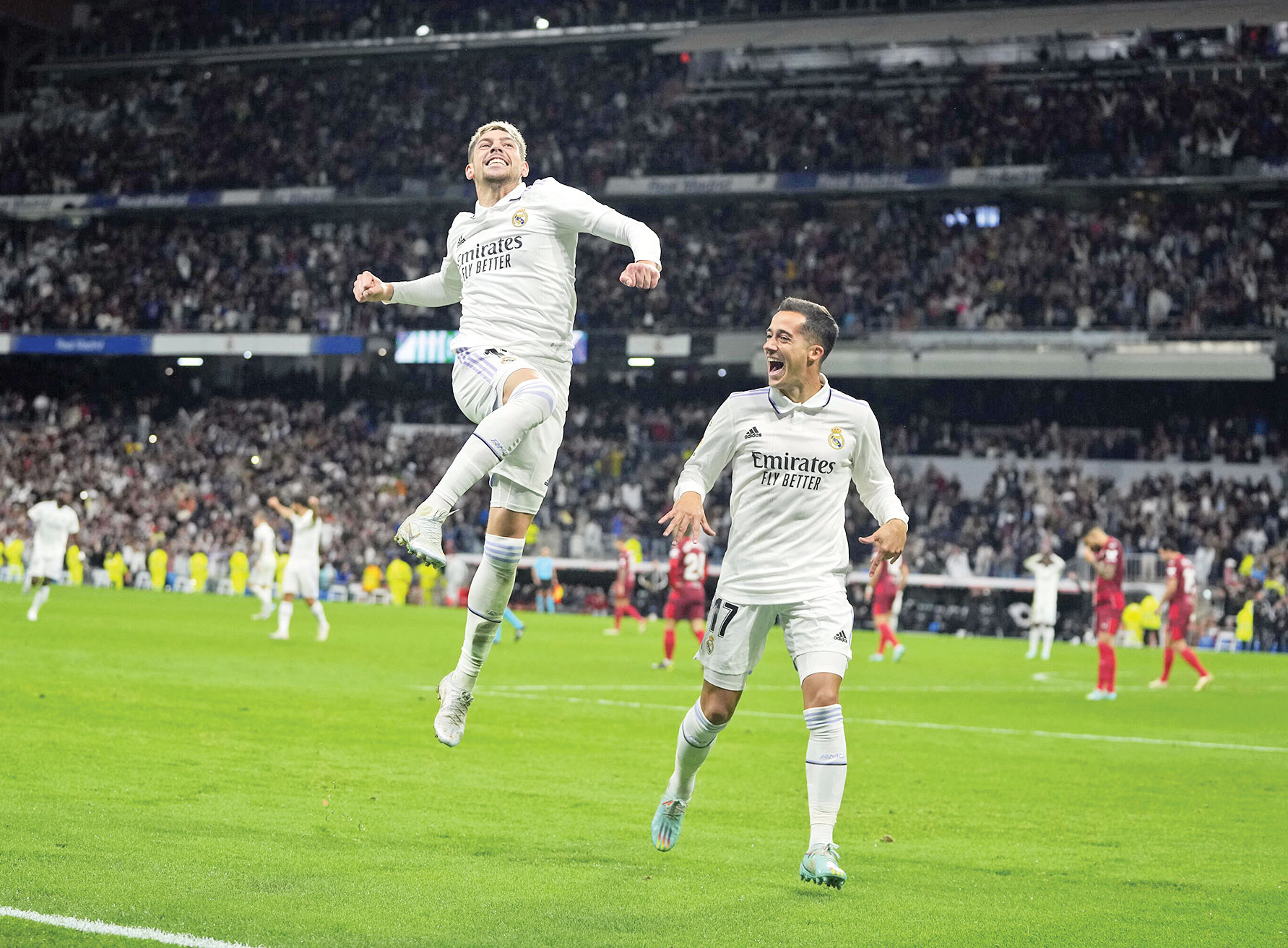 پرنده کوچک، بزرگ شد