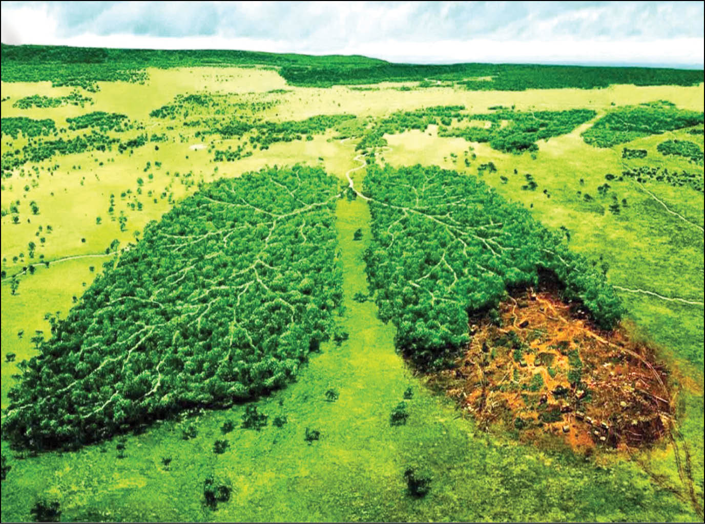 تأثیر تغییر اقلیم بر محیط‌زیست و سلامت انسان‌ها