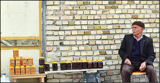 جشنواره انگور روستای هزاوه