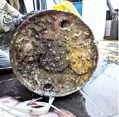 بمب جنگی در تور ماهیگیری