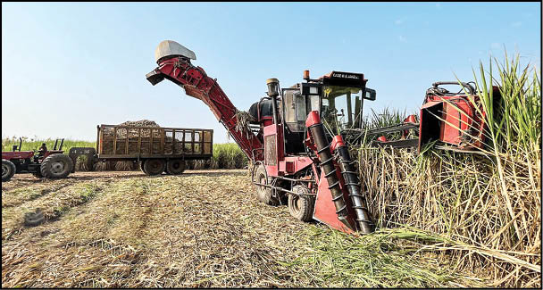 آغاز برداشت محصول نیشکر در خوزستان