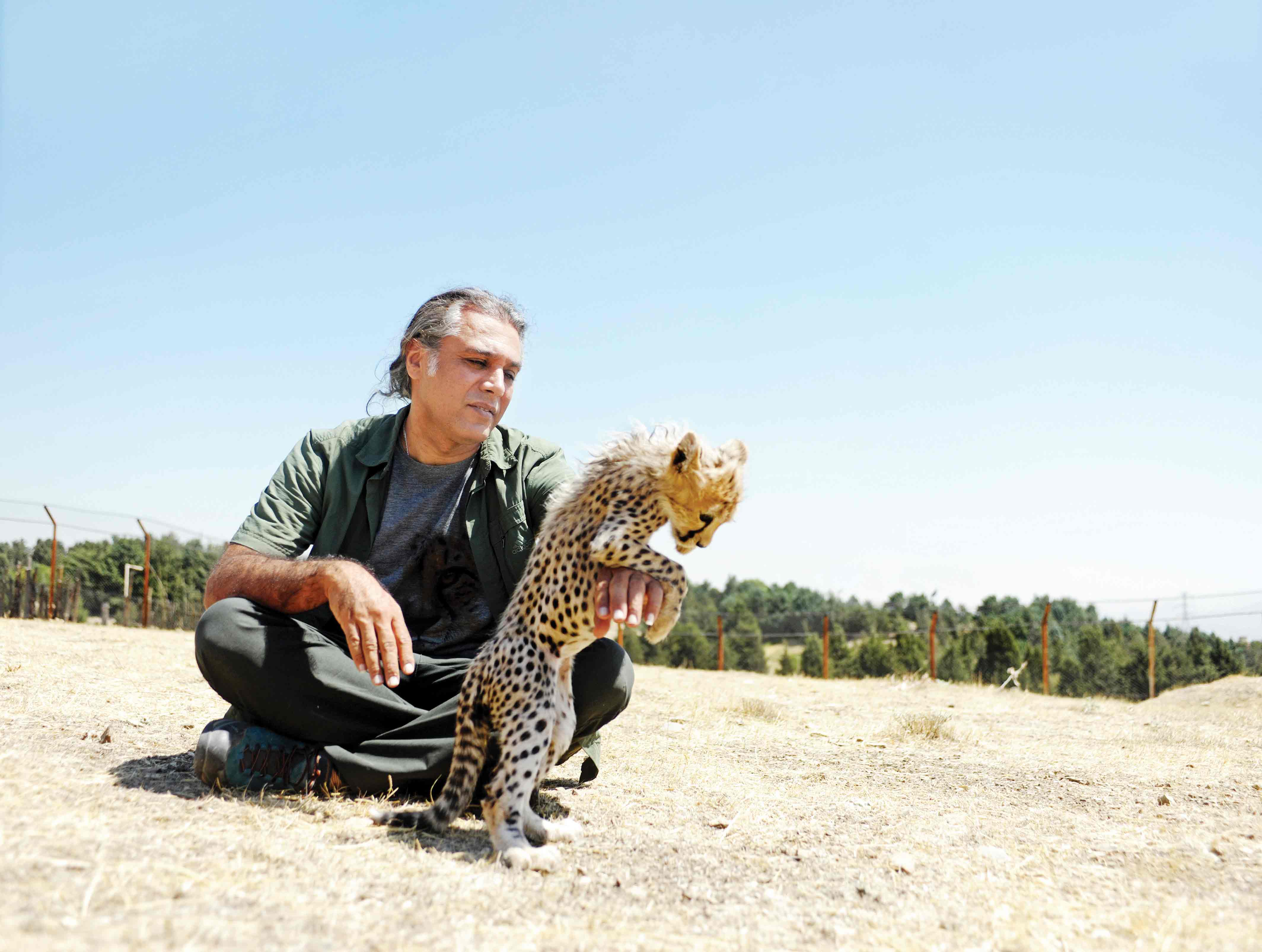 پیروز به توران می‌رود؟