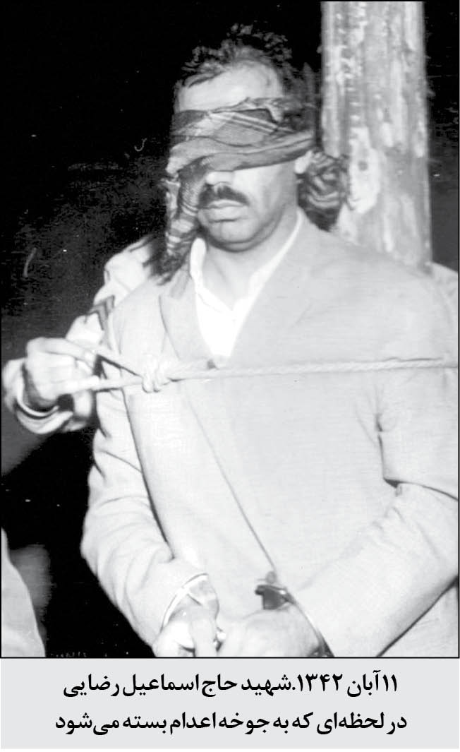 من چنین مرگی را از کجا پیدا کنم؟