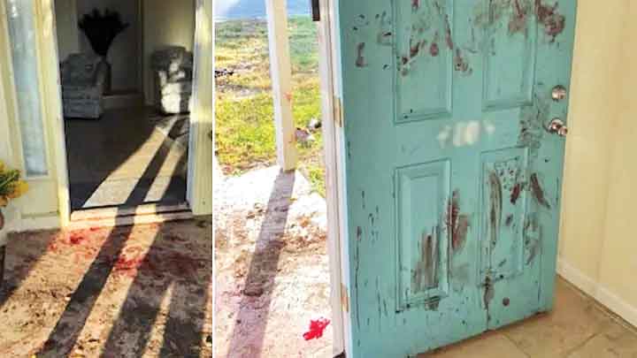 ناشی‌ترین دزد دنیا