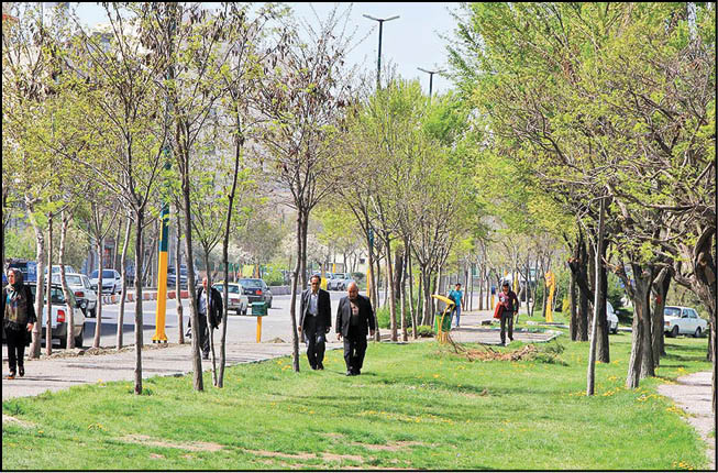 سرانه فضای سبز اردبیل استاندارد نیست