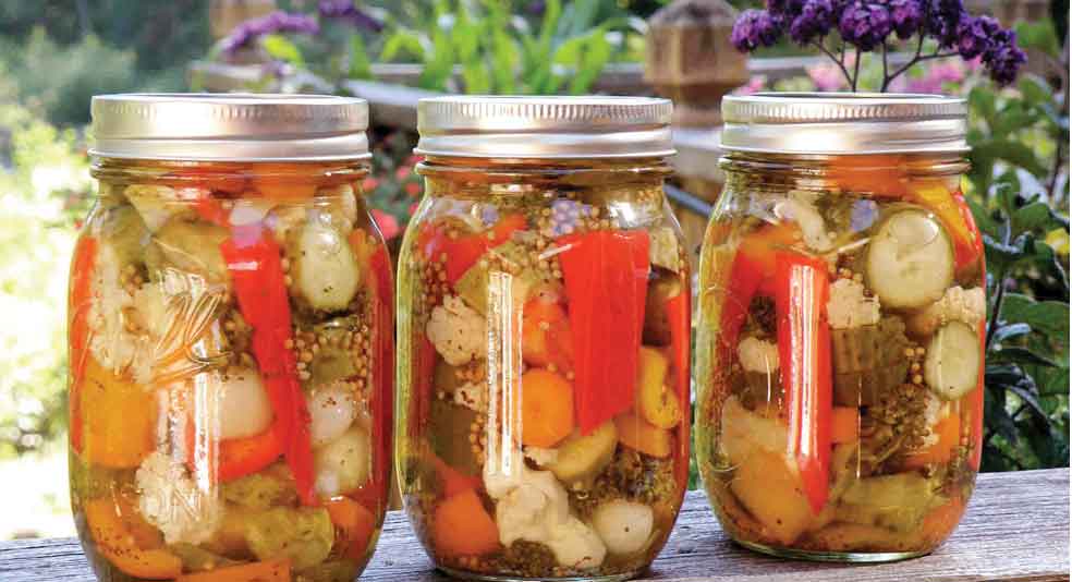 نگاهی به تاریخچه ترشی در ایران و آداب و رسوم ترشی‌انداختن