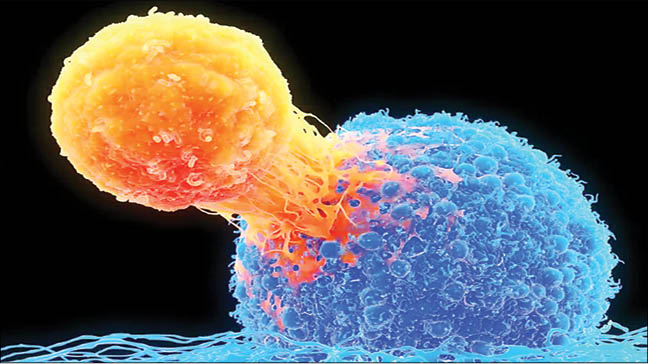 روش جدید برای علاج سرطان‌های غیرقابل درمان
