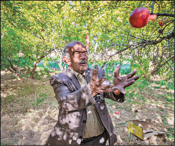 انارچینی در روستای تاریخی سریزد