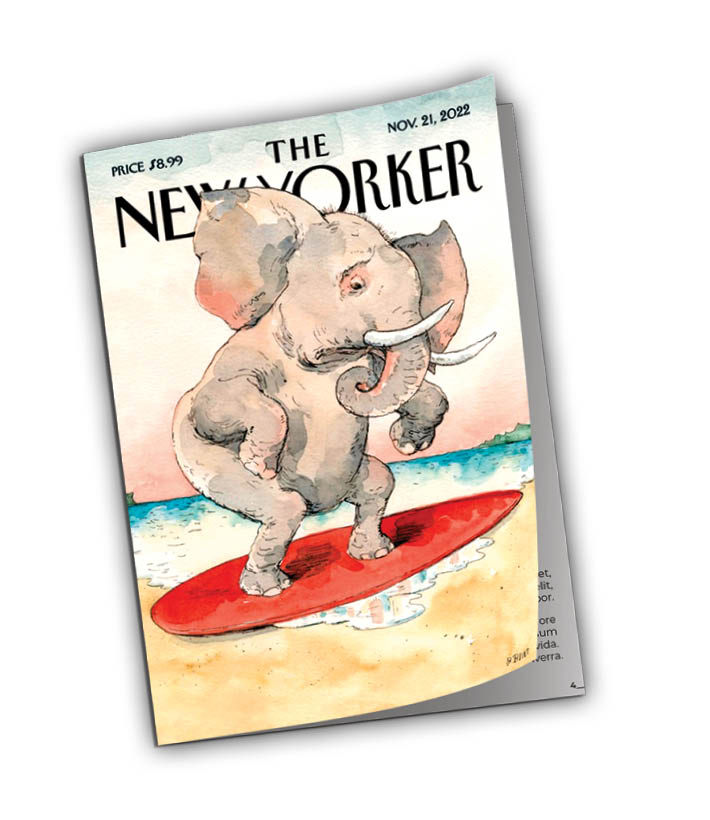 رویای «موج قرمزی» که بر باد رفت