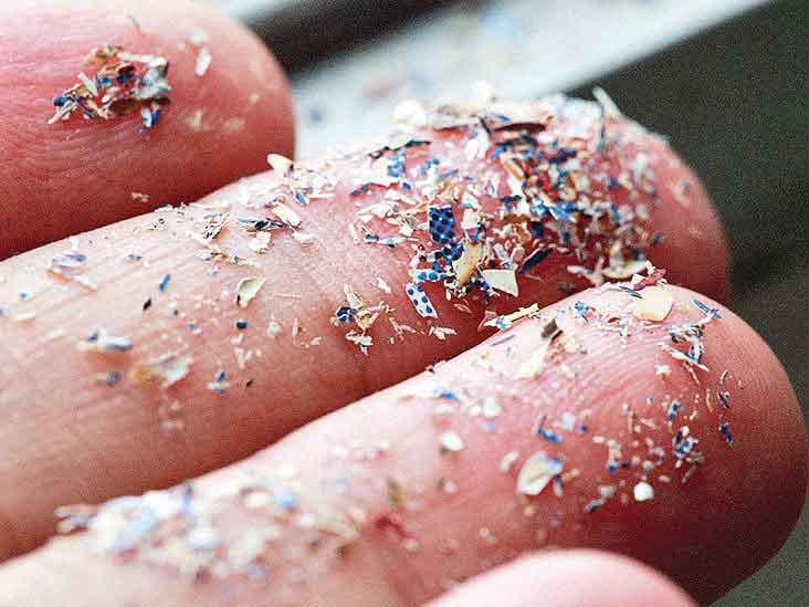 اَلَک مرغی به بازار آمد!