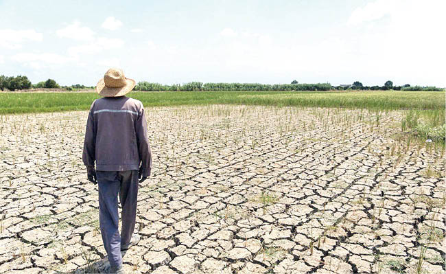 پرداخت 1120میلیارد خسارت به کشاورزان خوزستان