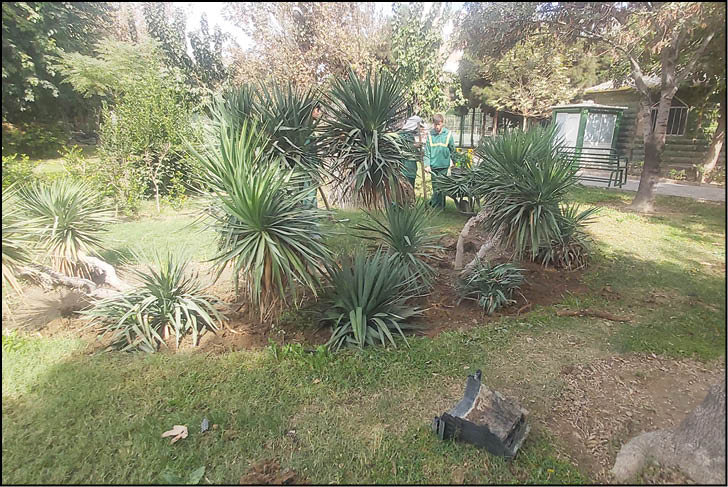 جنوب تهران غرق گل می‌شود