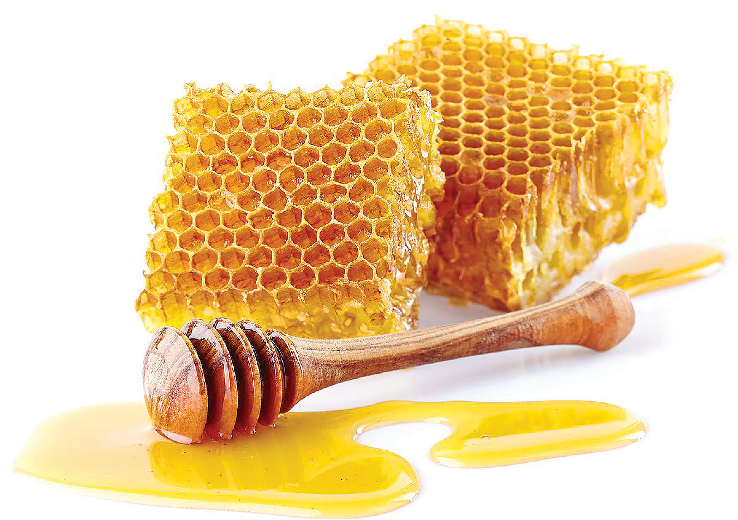 نگاهی به تاریخچه عسل و زنبورداری در ایران