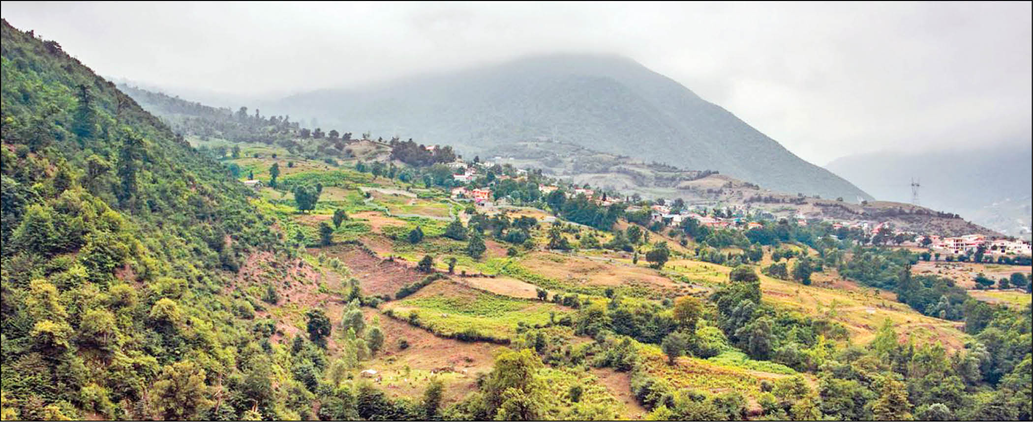 گوگردهای دوست‌داشتنی