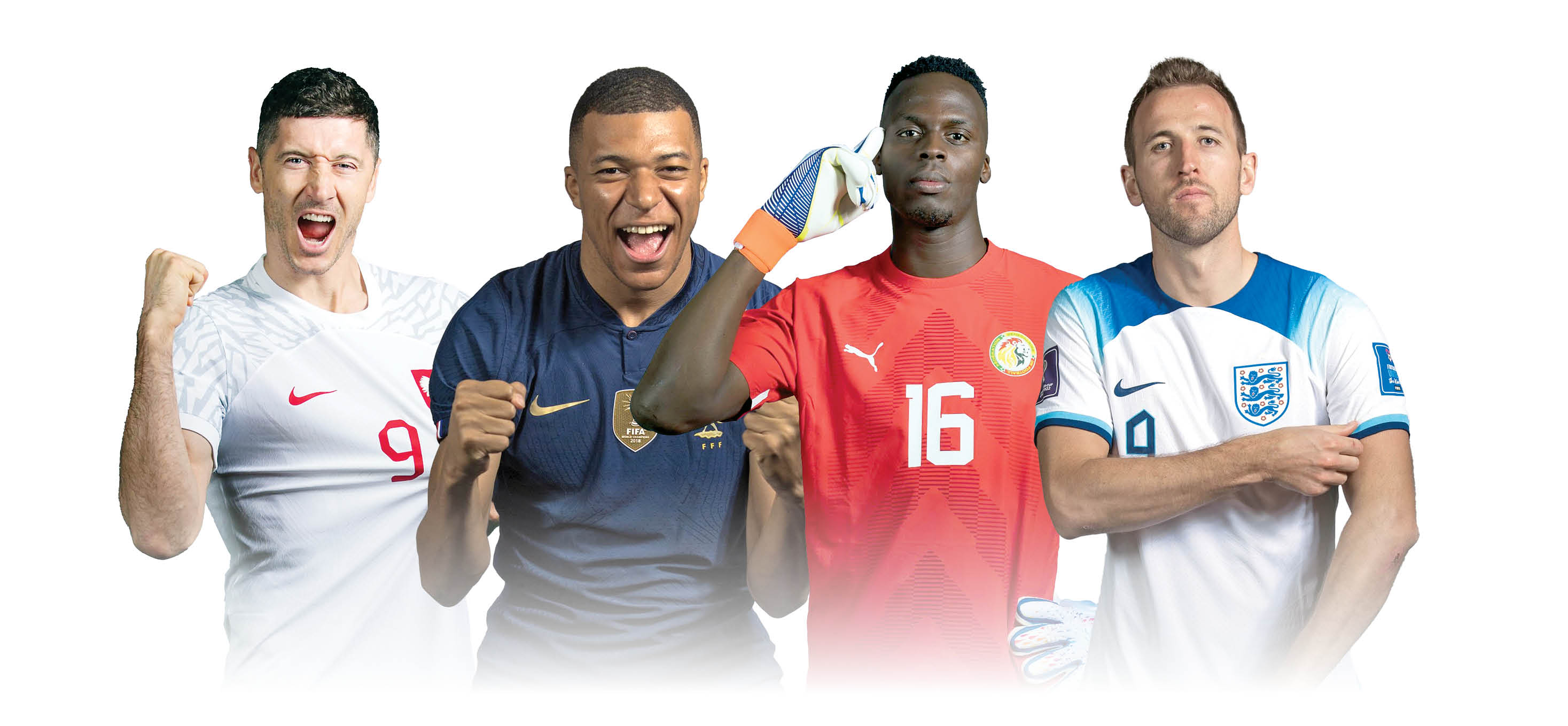 به استقبال دیدار جذاب