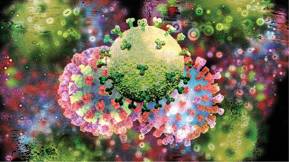 ترکیب عجیب ویروس‌های حیوانی و انسانی