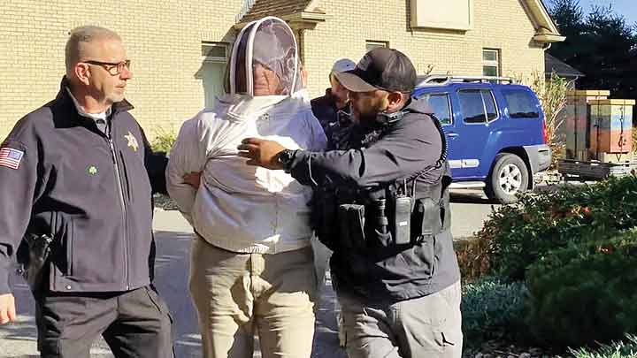 از دزد ناشی تا عروس بلا