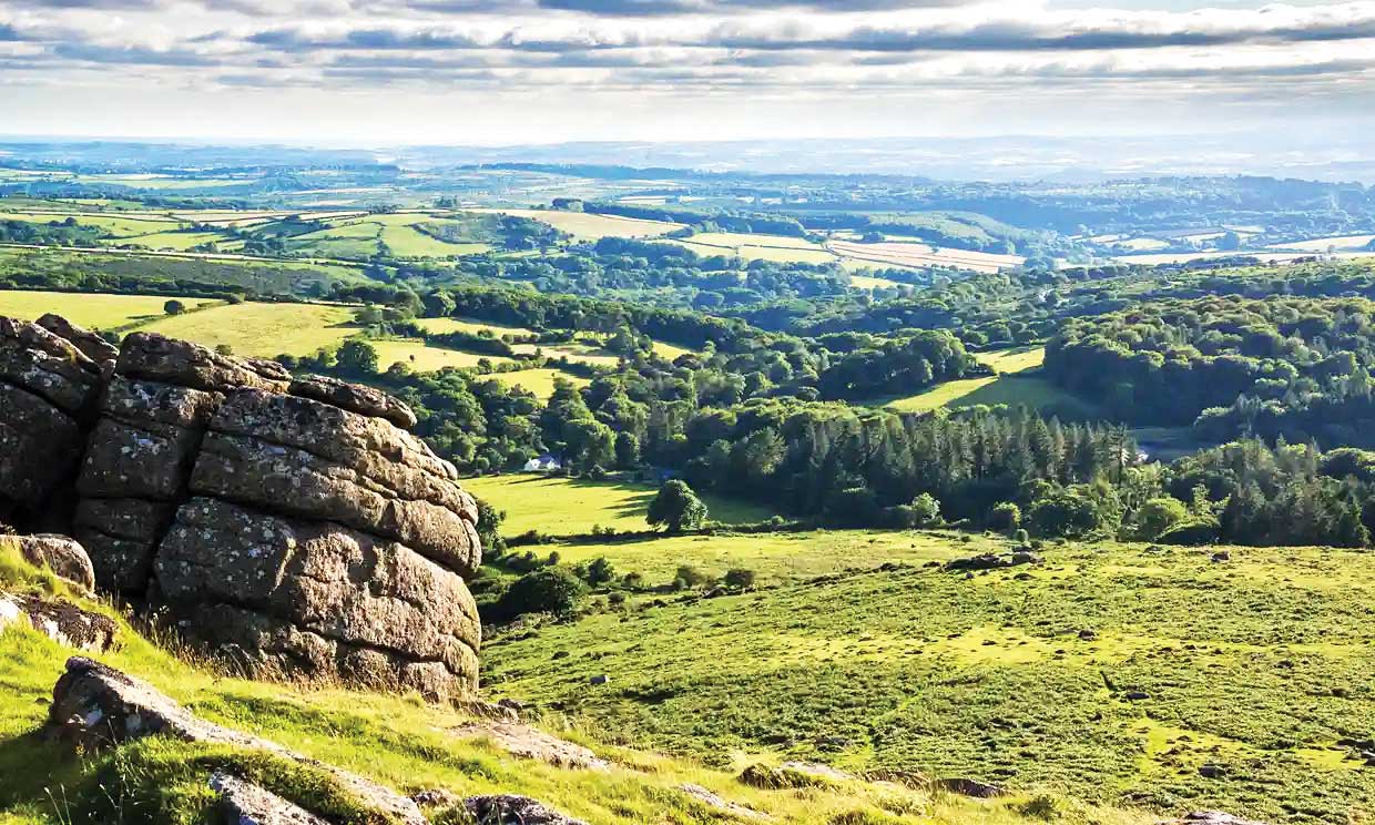 طبیعت، جایگزین داروها