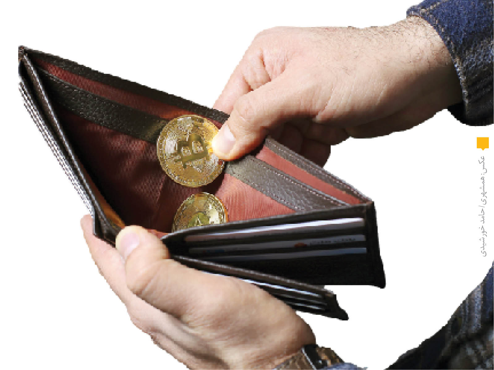 رمزارزها منقرض می‌شوند؟