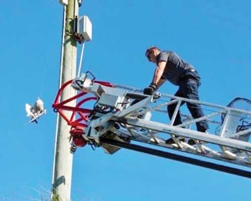 نجات پرنده گرفتار