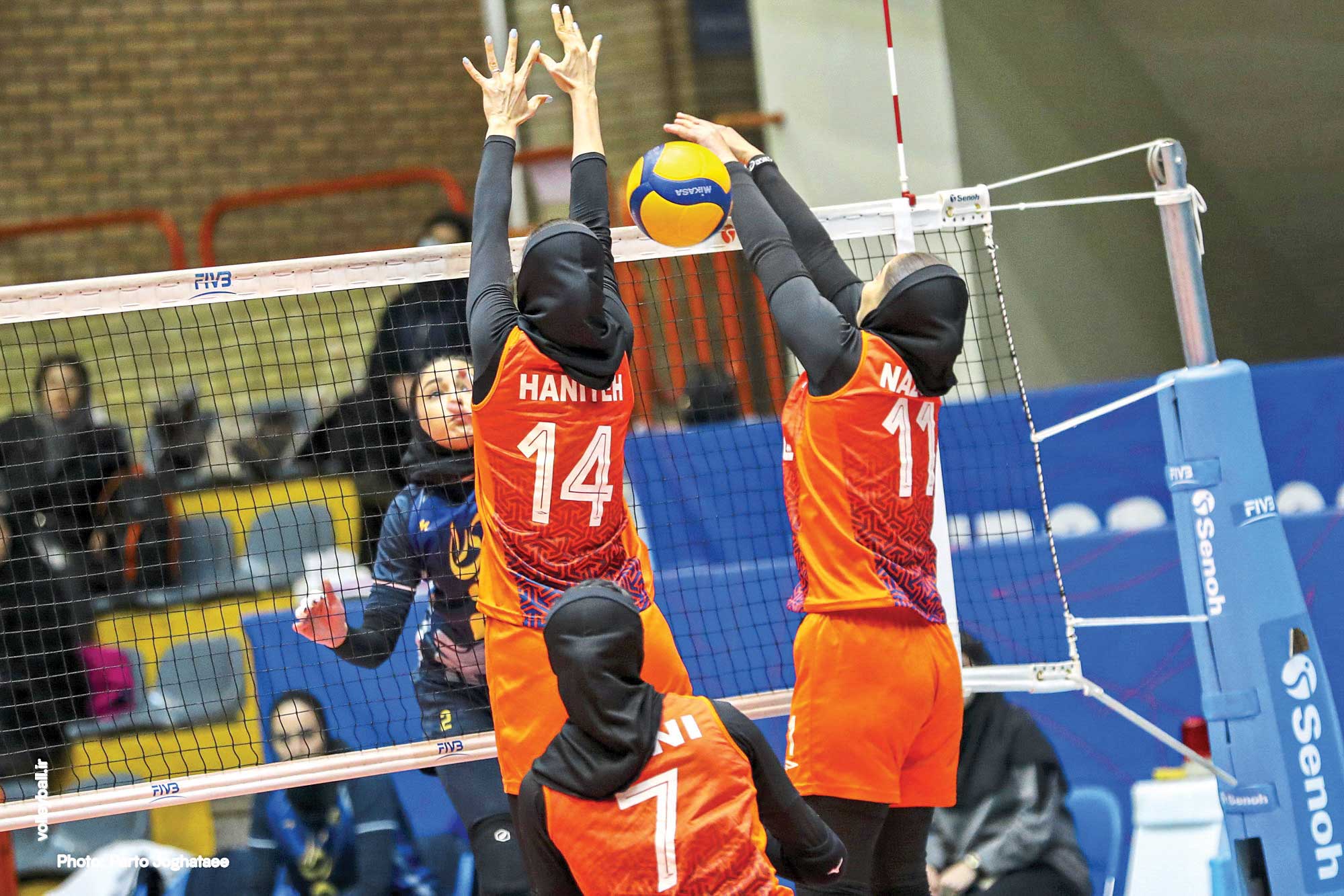 فدراسیون حامی تیم سردار؟