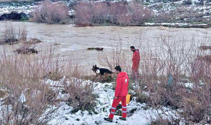سقوط مرگبار «گرگر» در رودخانه خروشان