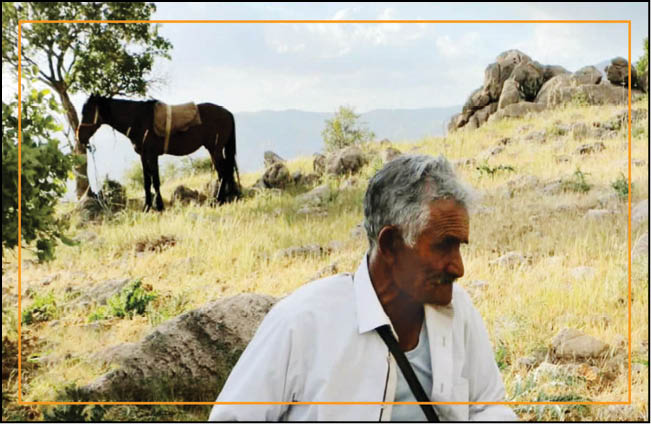 یک شخصیت بی‌صدا