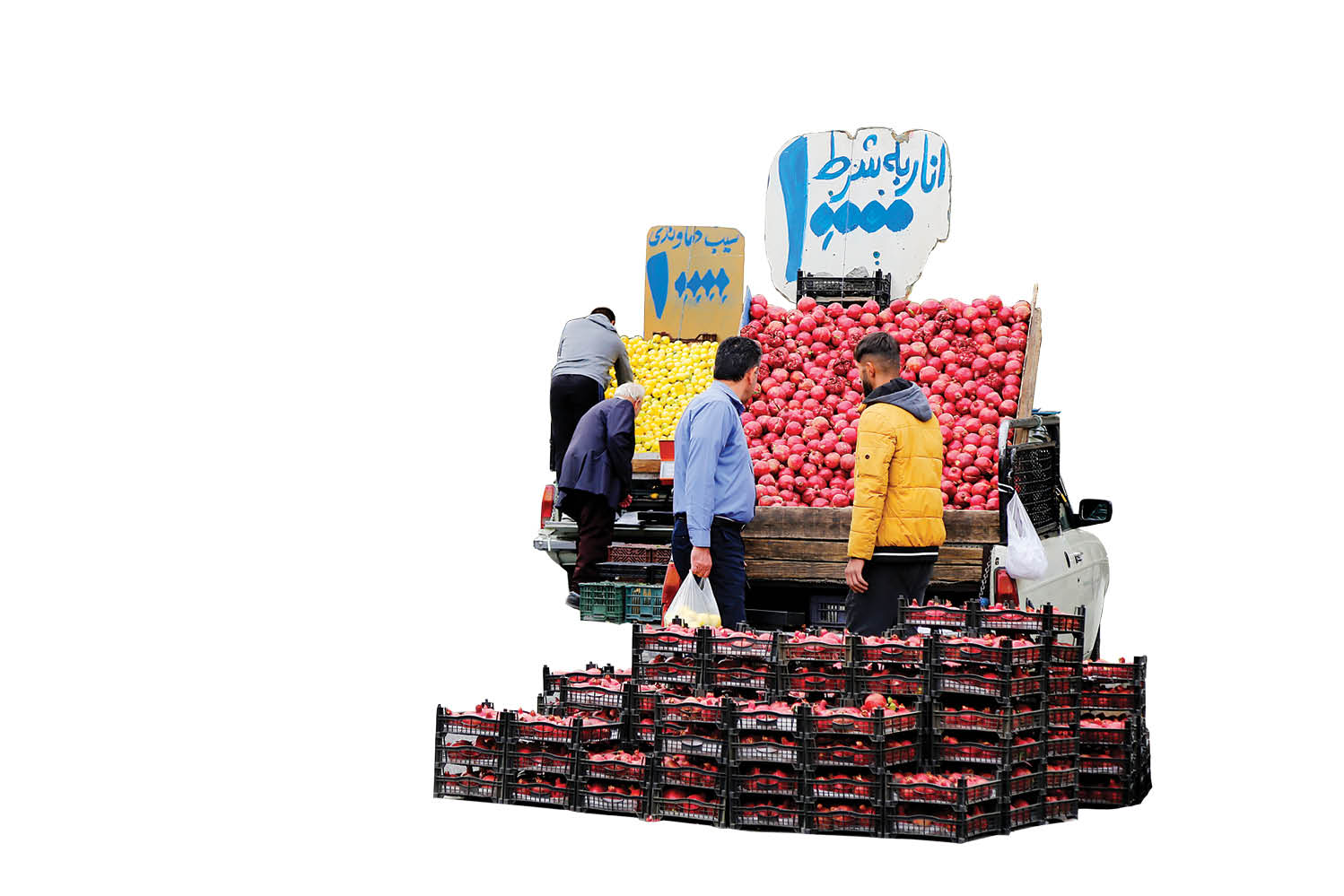 نمایشگاه یاقوت‌های سرخ