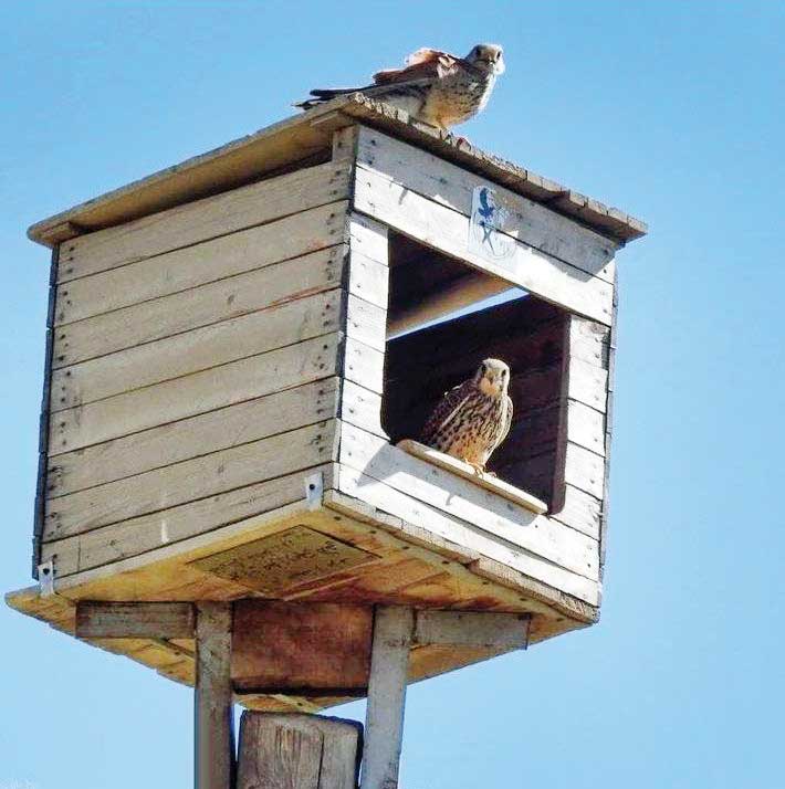 پناهگاه مهاجران