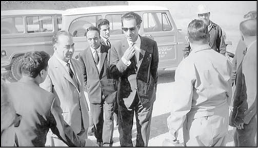 سهامدار سیری‌ناپذیر